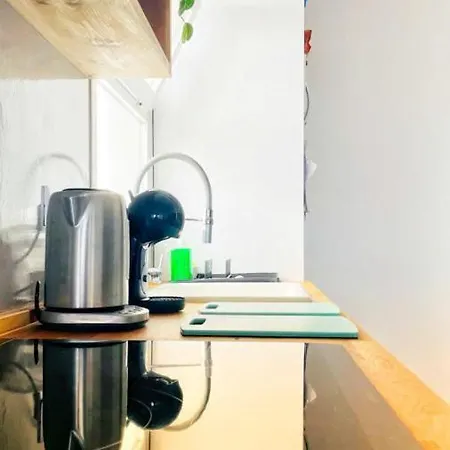 Casa Mimosa Centro * コラレホ